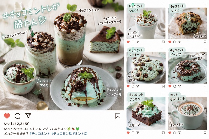 チョコミン党SNS