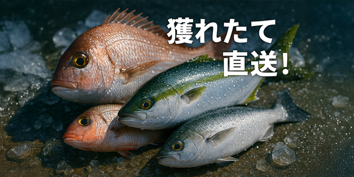 とれたて鮮魚
