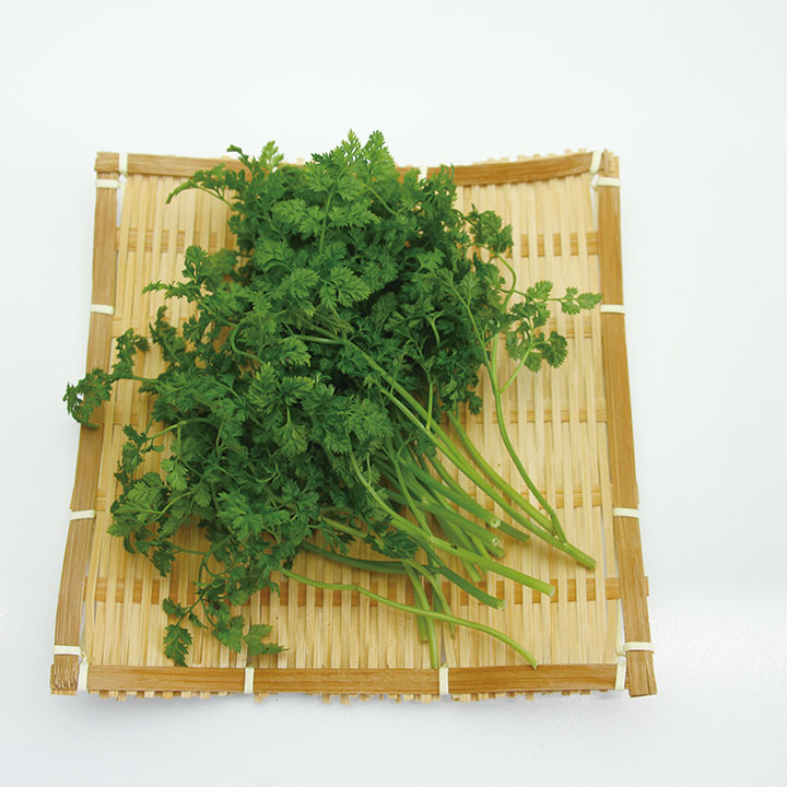 ◆生鮮）岐阜県産　チャービル　２０ｇ×１Ｐ