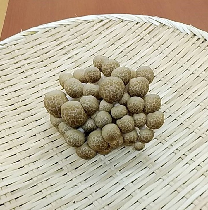 ◆生鮮）長野県産　しめじ　１００ｇ×１Ｐ