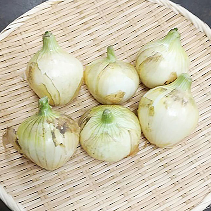 ◆生鮮）三重県他 新玉葱 1Kg袋