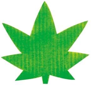 バラン　紅葉／緑　Ｃ色　１０００枚入