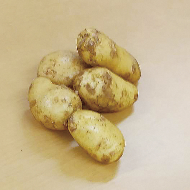 ◆生鮮）長崎県産・他　メークイン　１ｋｇ