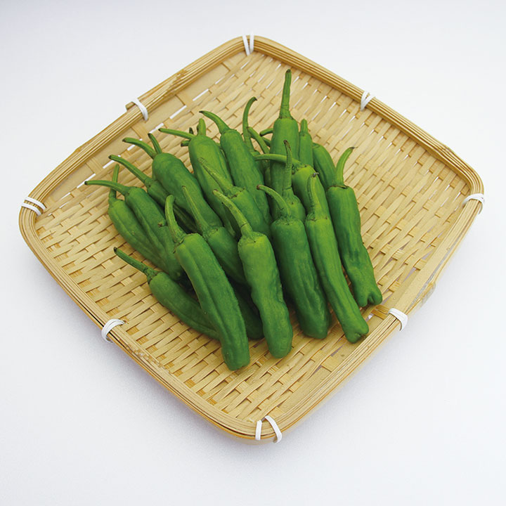 ◆生鮮）ししとう １００ｇ×１ｐ