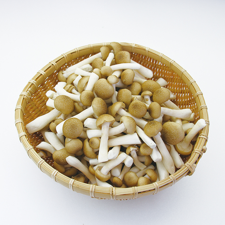 ◆生鮮）ぶなしめじ ５００ｇ×１Ｐ