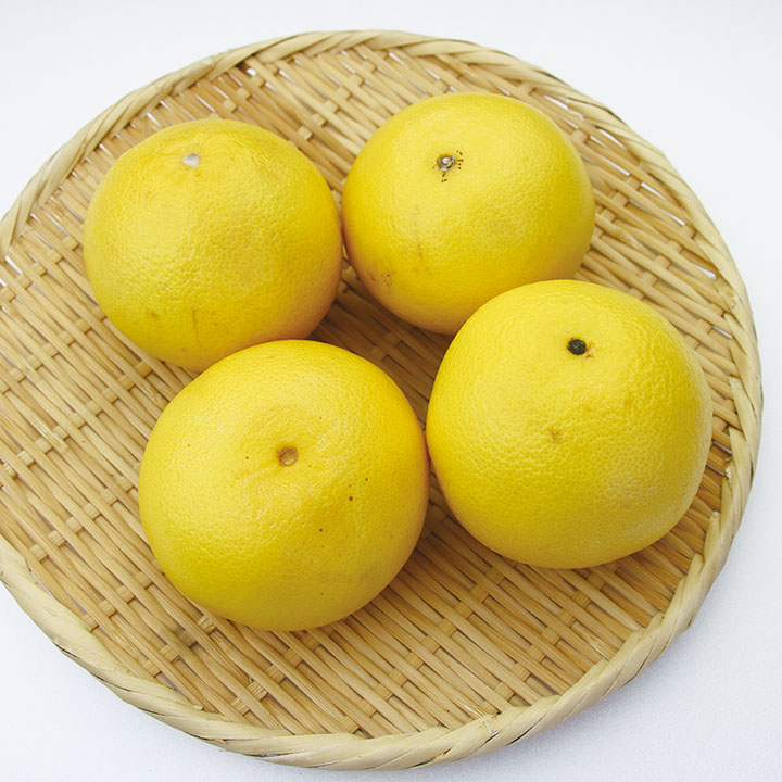 ◆生鮮）グレープフルーツ（Ｌ） 約２５０ｇ×４個