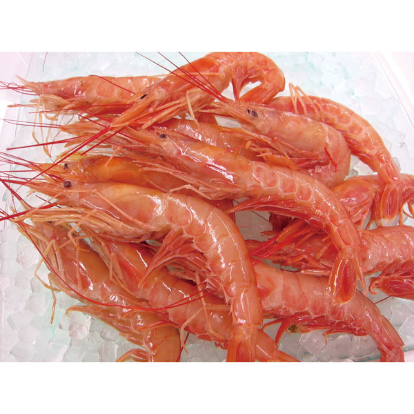 三水フーズ）アルゼンチン赤海老 （20/30）　2kg（約40g×50尾入）