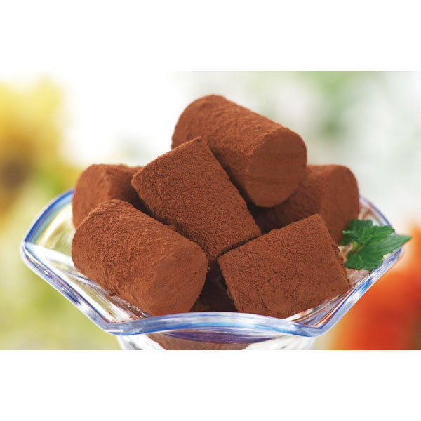 ヒカリ乳業）生チョコアイス チョコ　12ml×80粒入