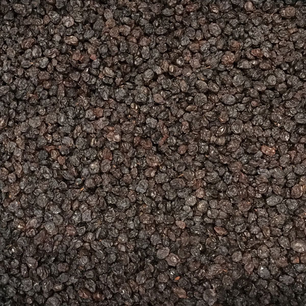 正栄）８４２０４　ギリシャカレンズ　１ｋｇ