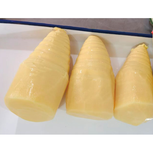 信明商事）麻竹ホール 1号缶　1号缶（固形1800g、内容総量2950g）