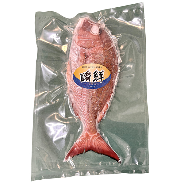 瞬鮮）天然真鯛　（加熱用）　１尾