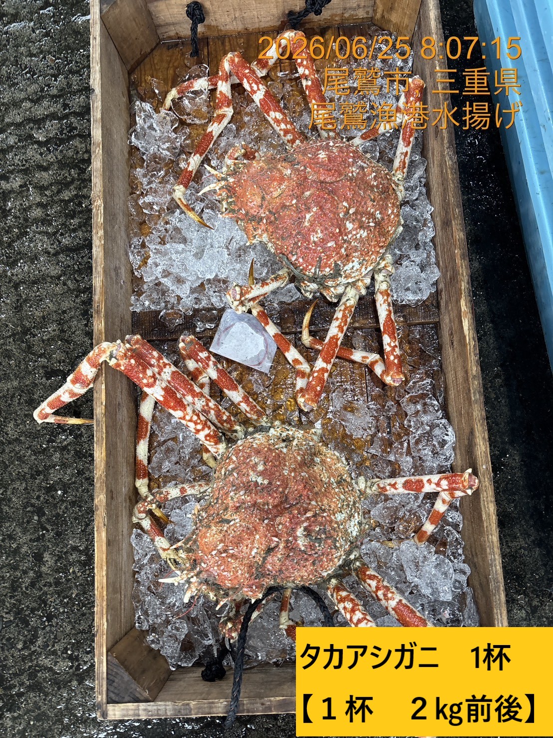 尾鷲地魚（変わり種）Ｄ　三重県尾鷲港