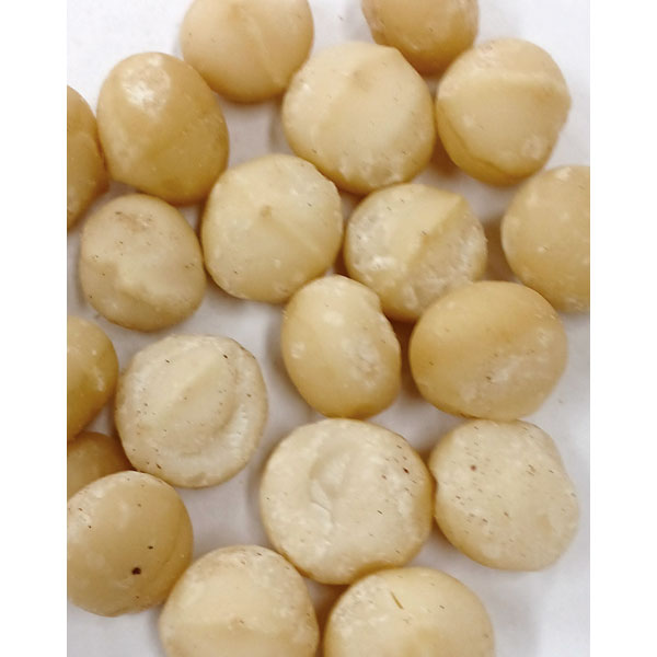 ユニオン）マカデミアナッツホール生　１ｋｇ