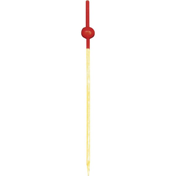 南天串　９ｃｍ　赤（１０本入）