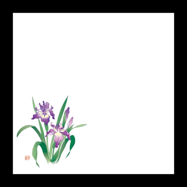 耐油天紙　５寸　菖蒲（５～６月）　１００枚入