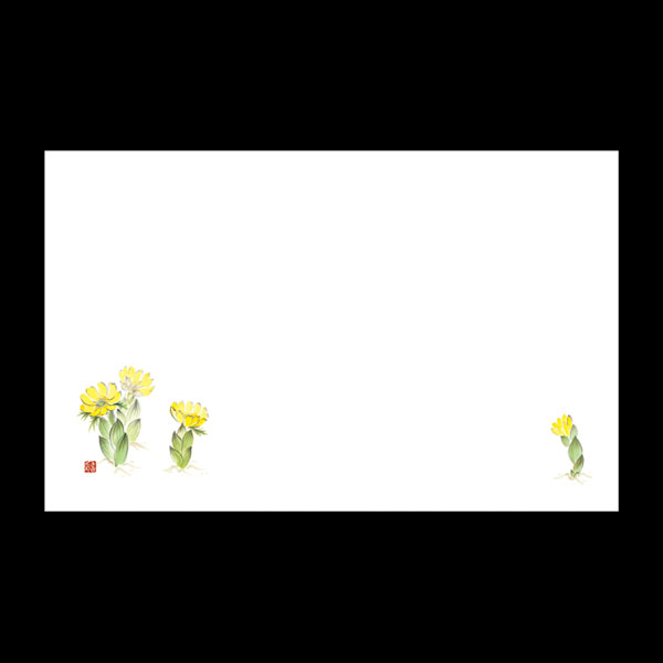 テーブルマット尺３＃２２９　福寿草　１００枚入
