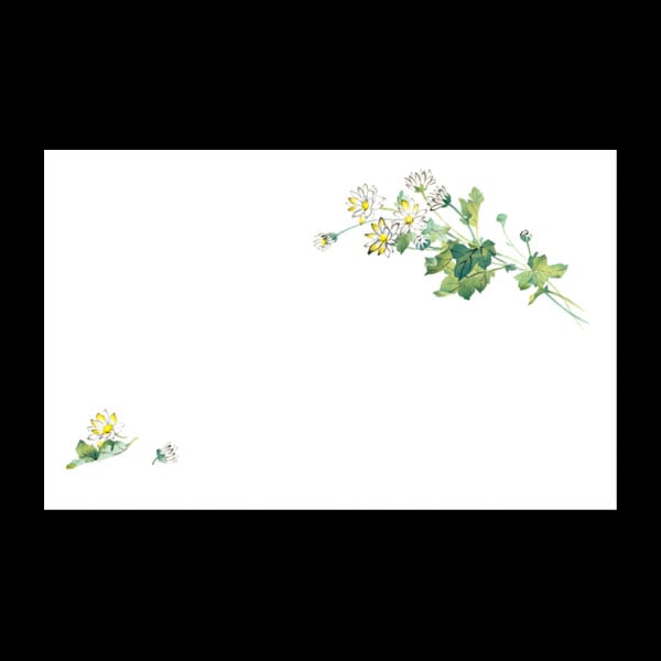 【売尽し】テーブルマット尺３＃２５４　小菊　１００枚入
