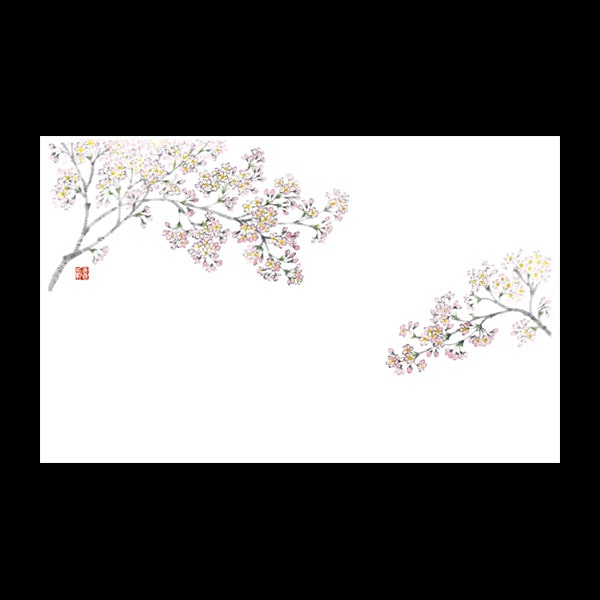 テーブルマット尺３＃２５９　桜　１００枚入