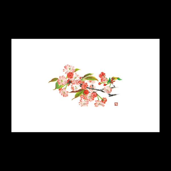 テーブルマット尺３＃３００　八重桜　１００枚入