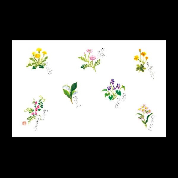 テーブルマット尺３＃３０８　春野の花　１００枚入