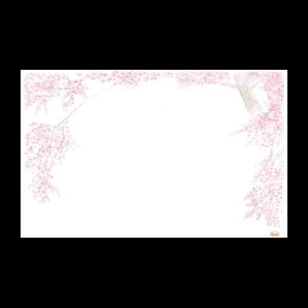 テーブルマット尺３＃３５２　桜　１００枚入
