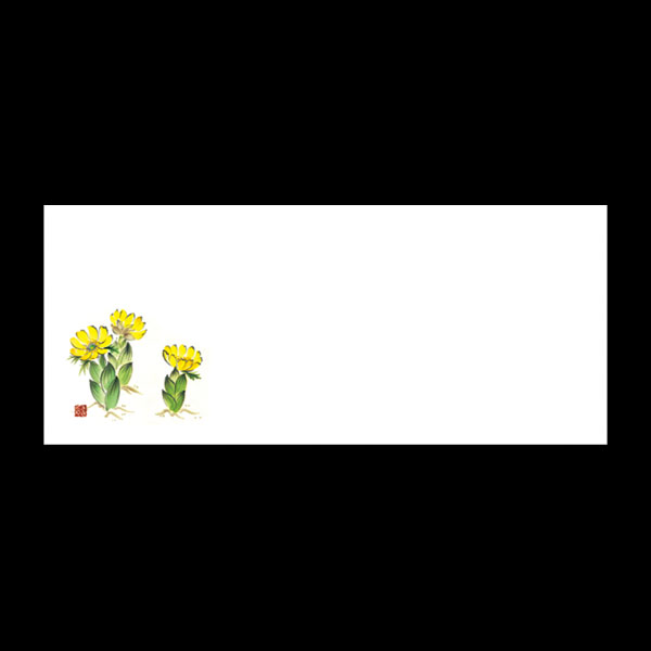 テーブルマットおてもと＃３２２９　福寿草　１００枚入