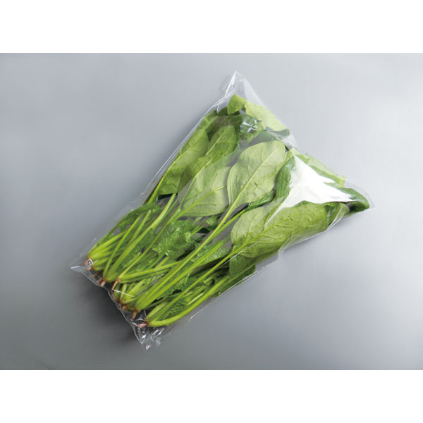 ＦＧ＃２０　三角袋　プラマーク入　１４０Ｘ２８０Ｘ２５０　０Ｈ　１００枚入