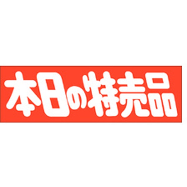Ａ－０４５１　本日の特売品　５００枚入
