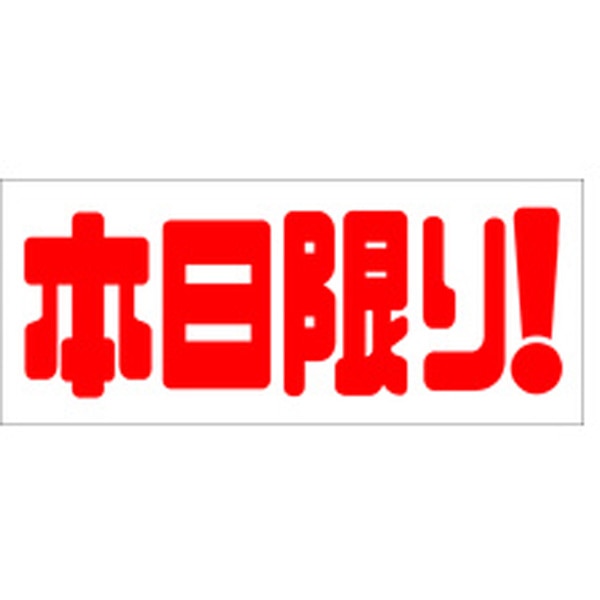 Ａ－１９９１　本日限り　５００枚入