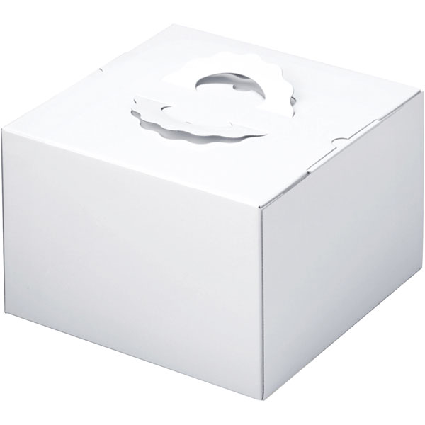 Ｈ２００　ＴＤ　白無地　８寸　（本体）　１０個入