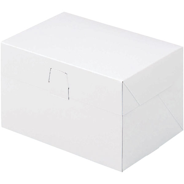 ロックＢＯＸ　１０５　ホワイト　４Ｘ６　５０個入