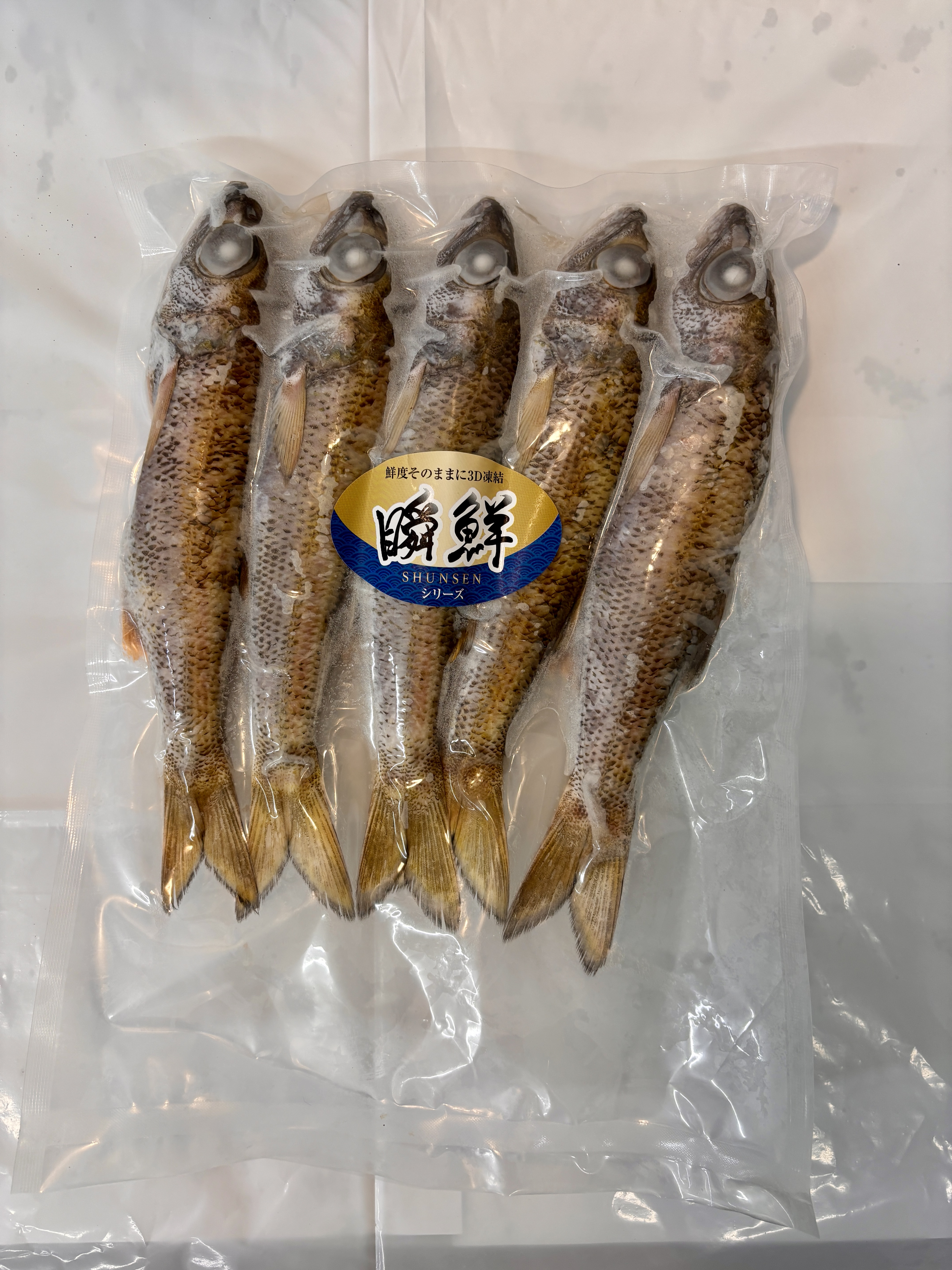 旬鮮便こころ）三重県産・他産 クロムツ（加熱用） 小　5尾入