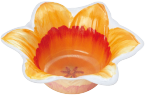 小皿容器画像